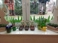 IMG_20250324_105225 (Copy).jpg