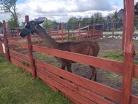 IMG_20250515_093918 (Copy).jpg