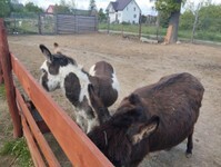 IMG_20250515_094126 (Copy).jpg