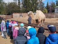 IMG_20250515_093005 (Copy).jpg