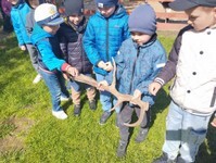 IMG_20250515_094348 (Copy).jpg