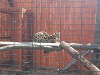 IMG_20250515_094651 (Copy).jpg