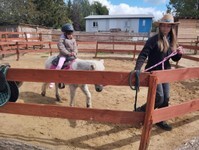 IMG_20250515_095652 (Copy).jpg